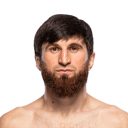 UFC: Who Will Magomed Ankalaev Fight Next?