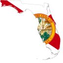 Florida Senate Election Winner