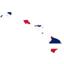 HI-02 Democratic Primary Winner