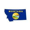 Montana Senate Election Winner