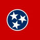 TN-01 House Election Winner